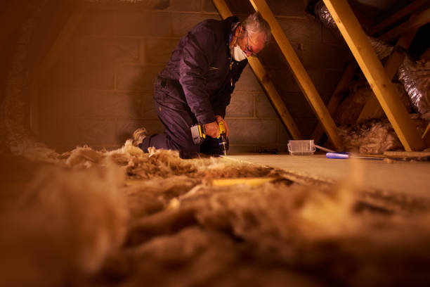 Best Insulation for New Construction  in Hudson, NY